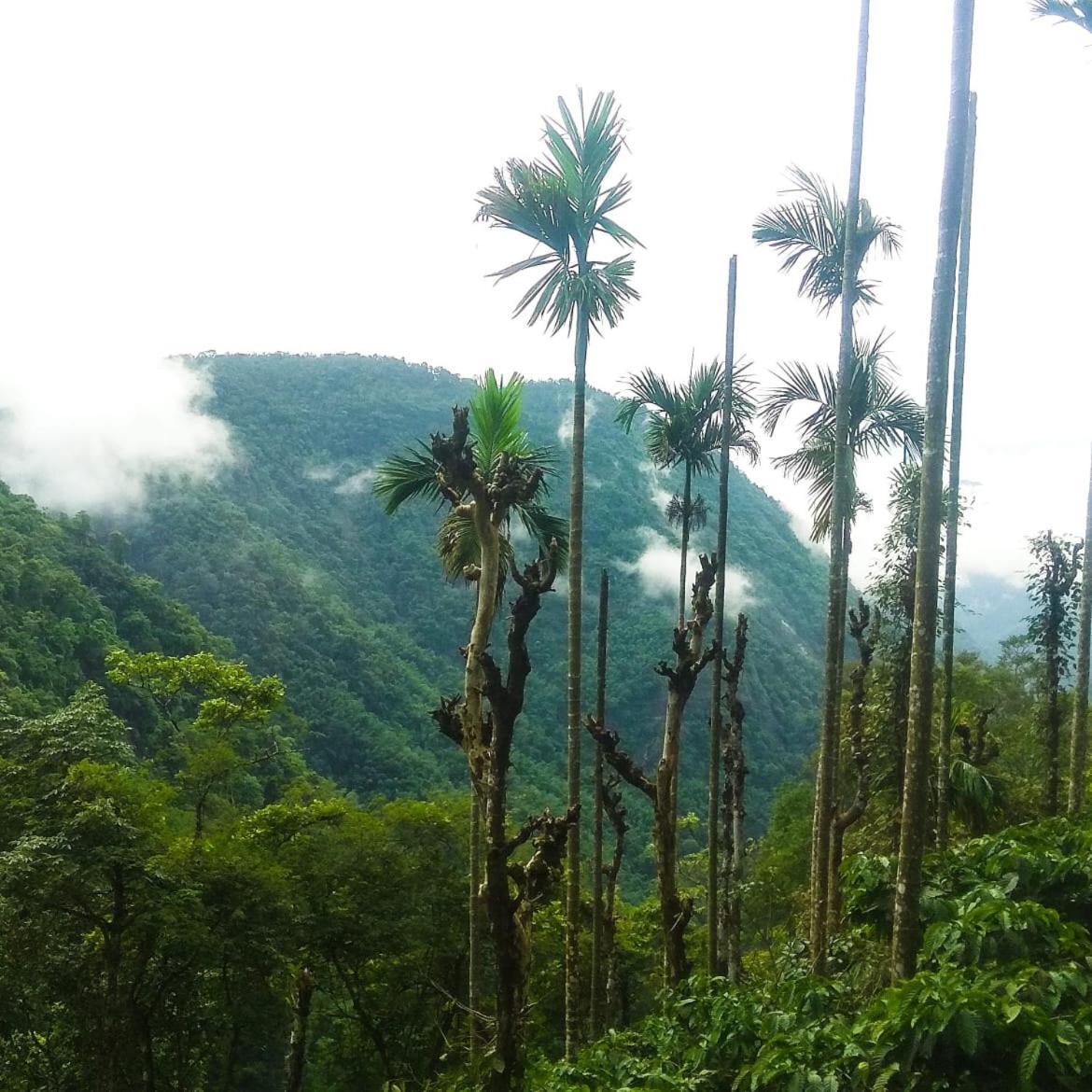 Tropical Camping Wayanad Hotel Meppadi Exterior photo