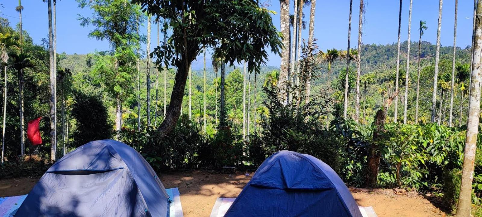 Tropical Camping Wayanad Hotel Meppadi Exterior photo